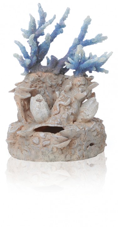 biOrb Korallenriff Ornament blau