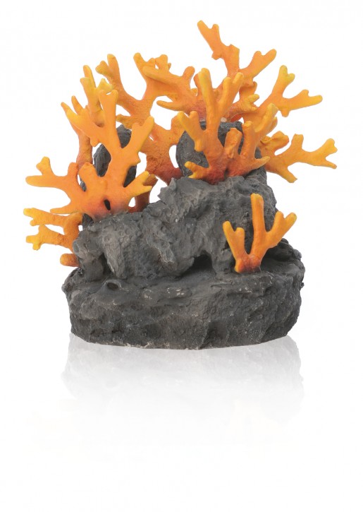 biOrb Lavastein mit Feuerkoralle Ornament