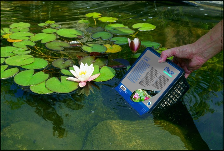 Oase Pondlith - Elimina Fosfati E Alghe Nello Stagno, A Base Di Zeolite - Foto 4