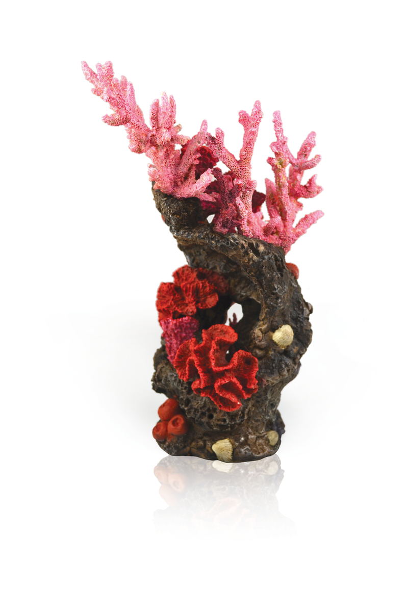 biOrb Ornamente für biOrb Aquarien biOrb Ornamente für biOrb Aquarien