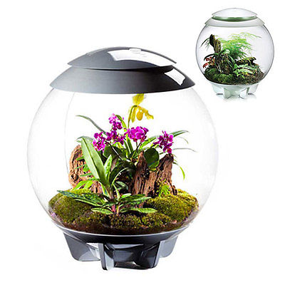 biOrb Air Aquarien Terrarium biOrb Air Aquarien Terrarium