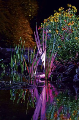 OASE ProfiLux Garden LED RGB Teichbeleuchtung