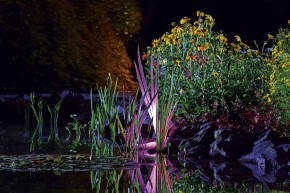 OASE ProfiLux Garden LED RGB Teichbeleuchtung